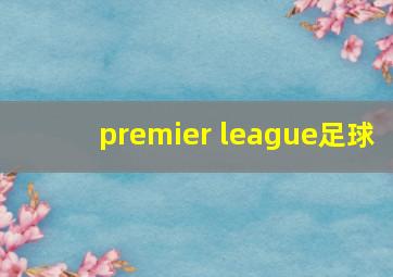 premier league足球